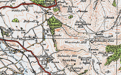 Old map of Weacombe in 1919