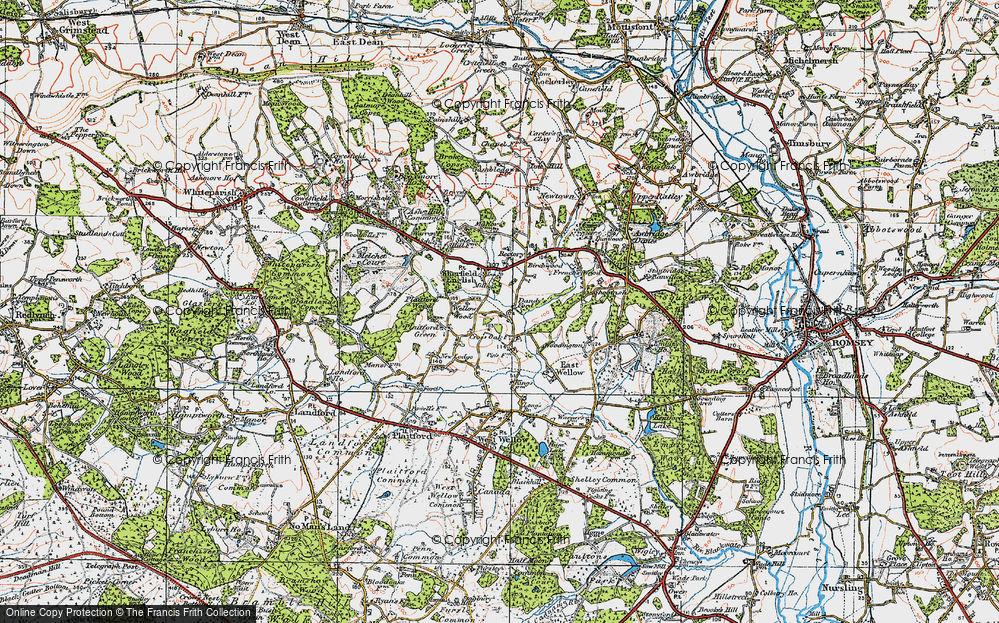 Old Map of Wellow Wood, 1919 in 1919