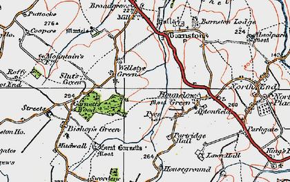 Old map of Wellstye Green in 1919
