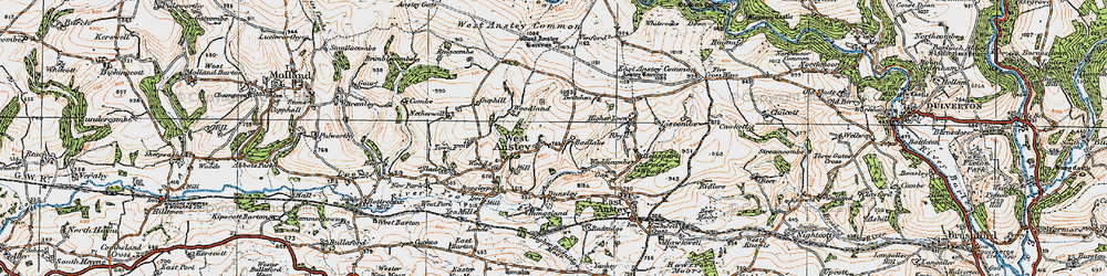 Old map of West Anstey in 1919