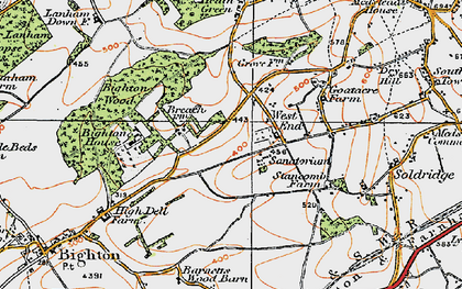 Old map of Bighton Ho in 1919