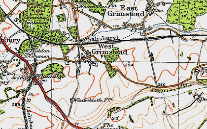 Old map of West Grimstead in 1919