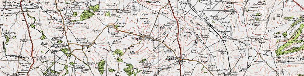 Old map of West Ilsley in 1919