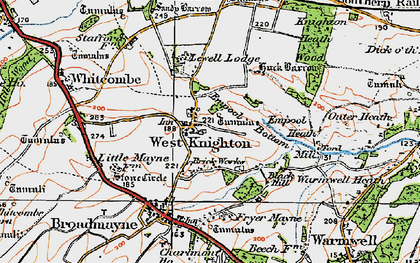 Old map of West Knighton in 1919