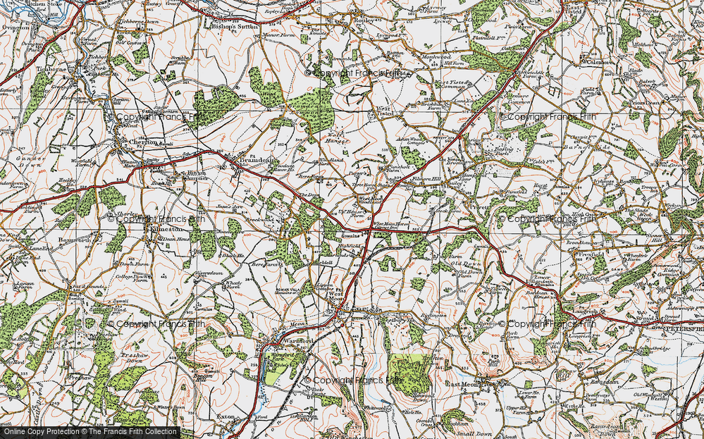 Old Map of West Meon Woodlands, 1919 in 1919