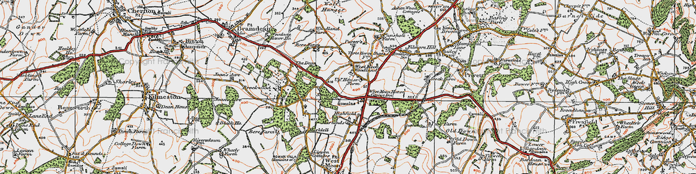 Old map of West Meon Woodlands in 1919