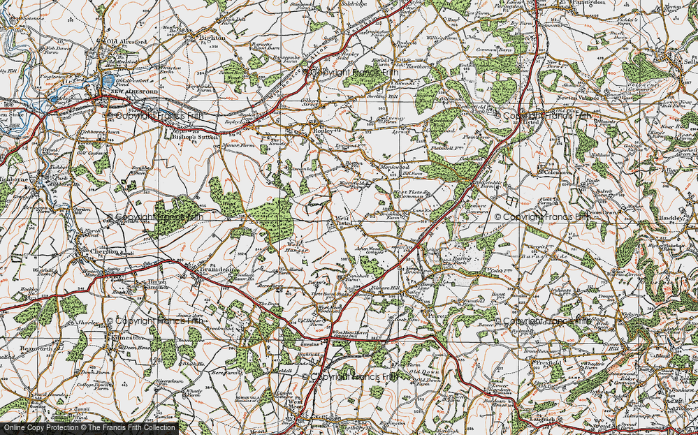 Old Map of West Tisted, 1919 in 1919
