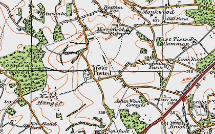 Old map of West Tisted in 1919