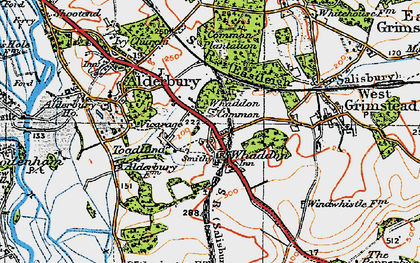 Old map of Witherington Down in 1919