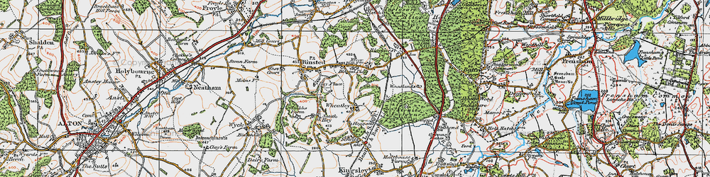 Old map of Binstead Place in 1919