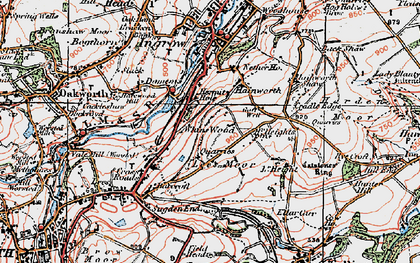 Old map of Whins Wood in 1925