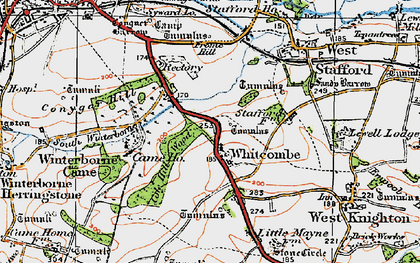 Old map of Whitcombe in 1919