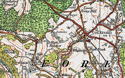 Old map of Whitecliff in 1919