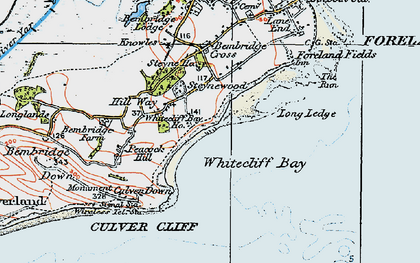 Old map of Whitecliff Bay in 1919