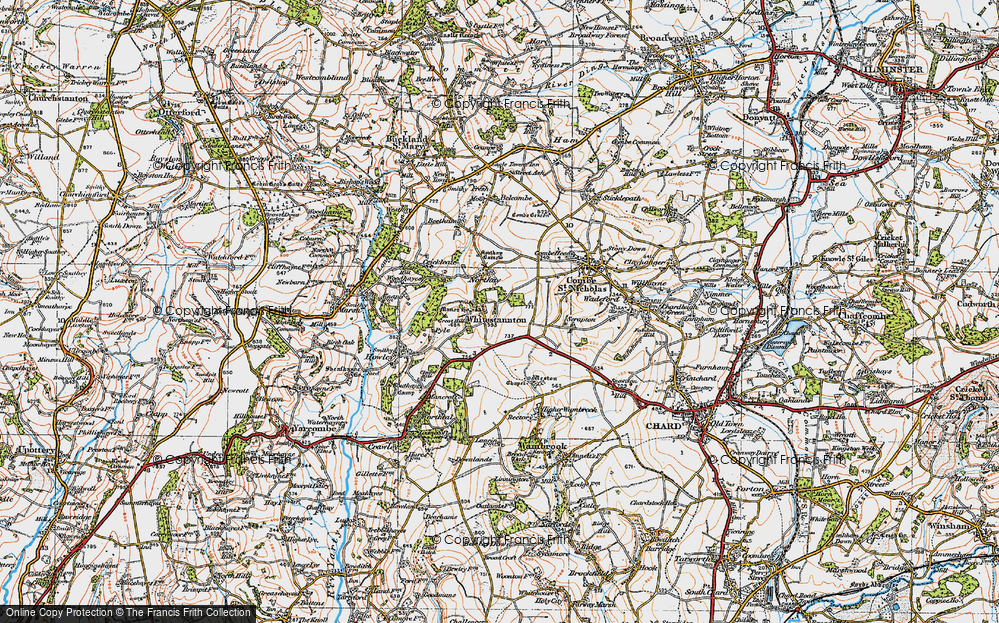 Old Map of Whitestaunton, 1919 in 1919
