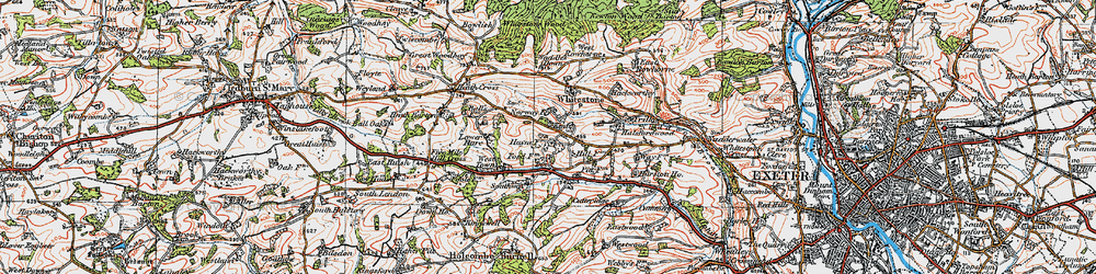 Old map of Whitestone in 1919