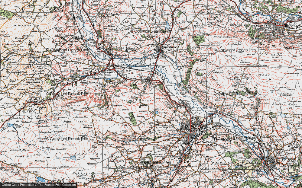 Old Map of Historic Map covering Brighton Wood in 1925