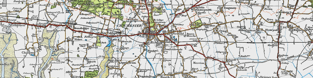 Old map of Whyke in 1919