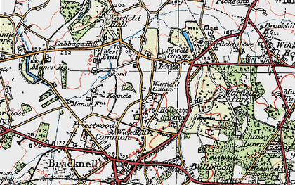 Old map of Wick Hill in 1919