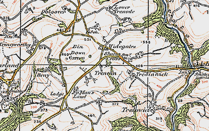 Old map of Bokenver Wood in 1919
