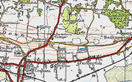 Old map of Widley in 1919