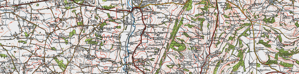 Old map of Wiggaton in 1919
