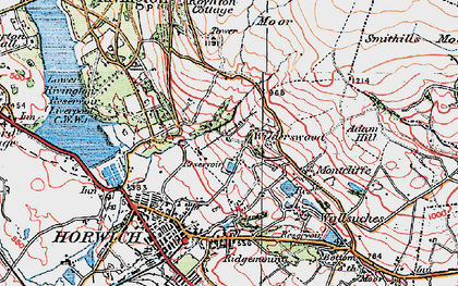 Old map of Wilderswood in 1924
