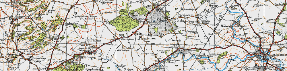Old map of Willesley in 1919