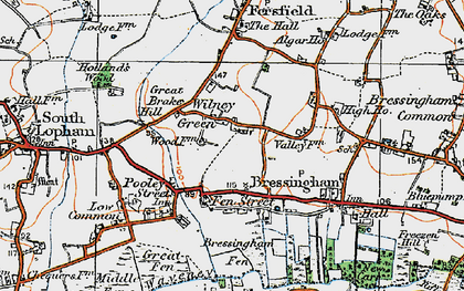 Old map of Wilney Green in 1920