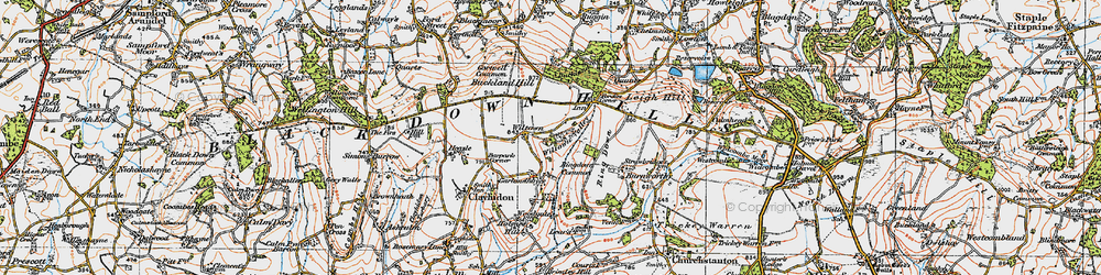 Old map of Black Down Hills in 1919