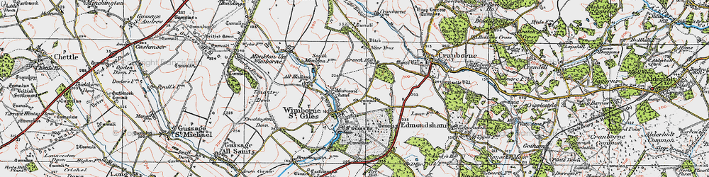 Old map of Wimborne St Giles in 1919