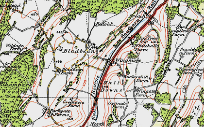 Old map of Wingmore in 1920