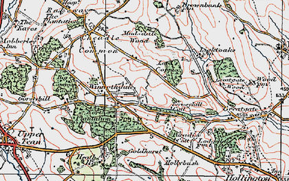Old map of Winnothdale in 1921