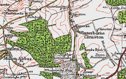 Old map of Whatcombe Wood in 1919