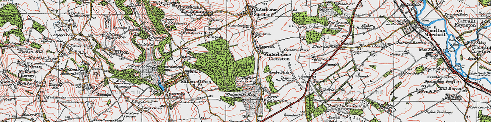 Old map of Whatcombe Wood in 1919