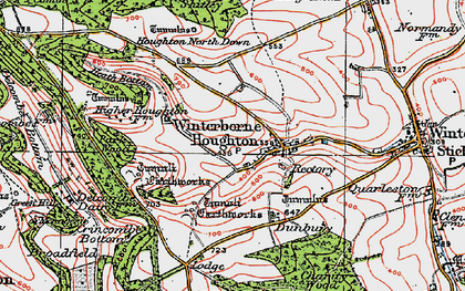 Old map of Winterborne Houghton in 1919