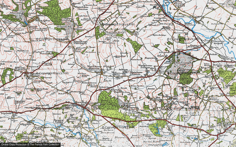 Old Map of Winterborne Muston, 1919 in 1919