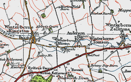Old map of Winterborne Muston in 1919