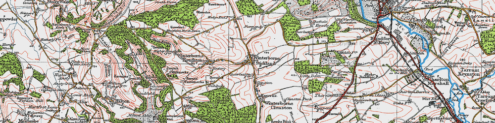 Old map of Winterborne Stickland in 1919