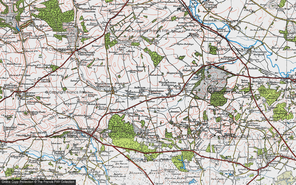 Old Map of Winterborne Tomson, 1919 in 1919