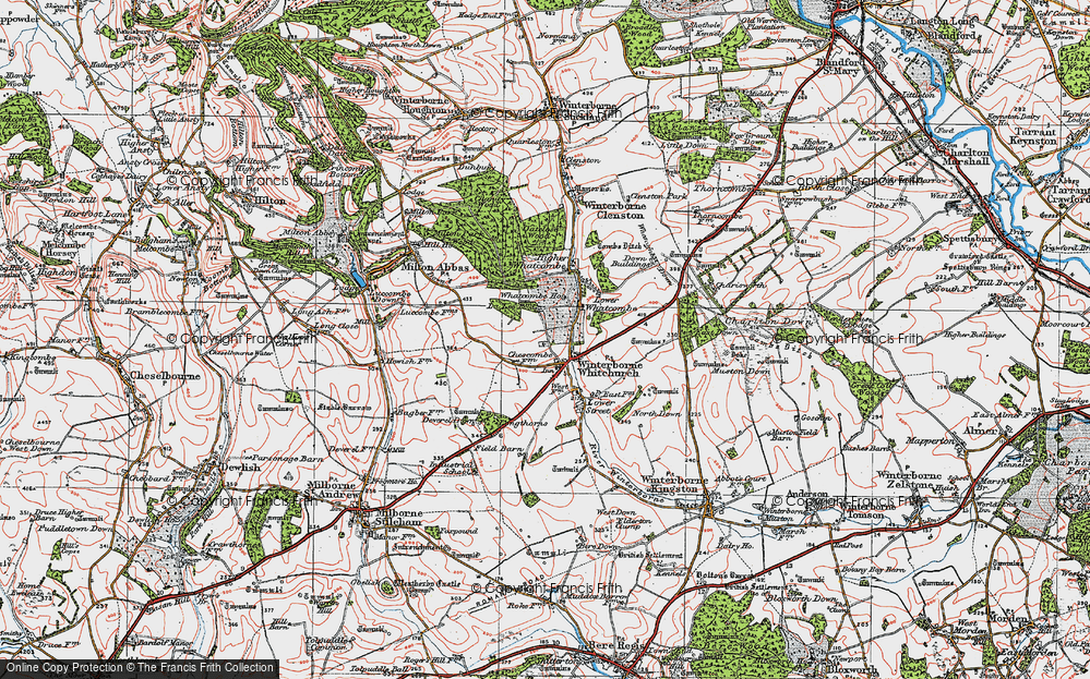 Old Map of Winterborne Whitechurch, 1919 in 1919