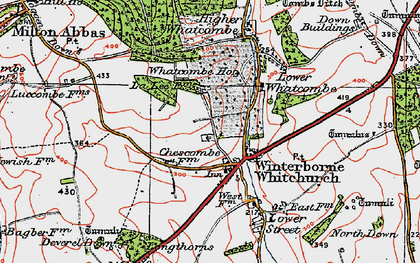 Old map of Winterborne Whitechurch in 1919