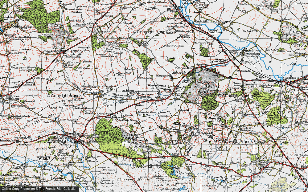 Old Map of Winterborne Zelston, 1919 in 1919