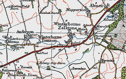 Old map of Winterborne Zelston in 1919