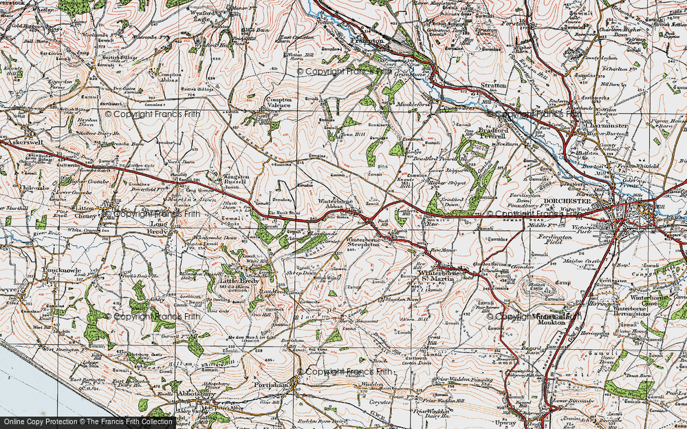 Old Map of Winterbourne Abbas, 1919 in 1919