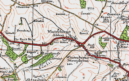 Old map of Winterbourne Abbas in 1919