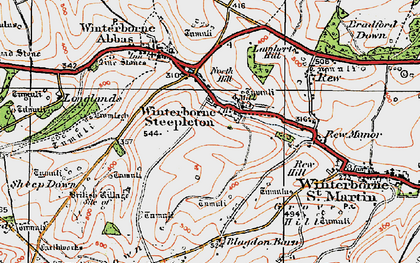 Old map of Winterbourne Steepleton in 1919