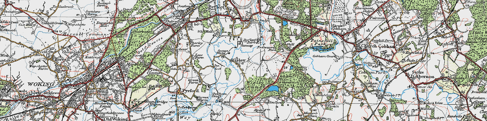 Old map of Wisley in 1920