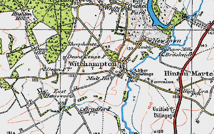 Old map of Witchampton in 1919