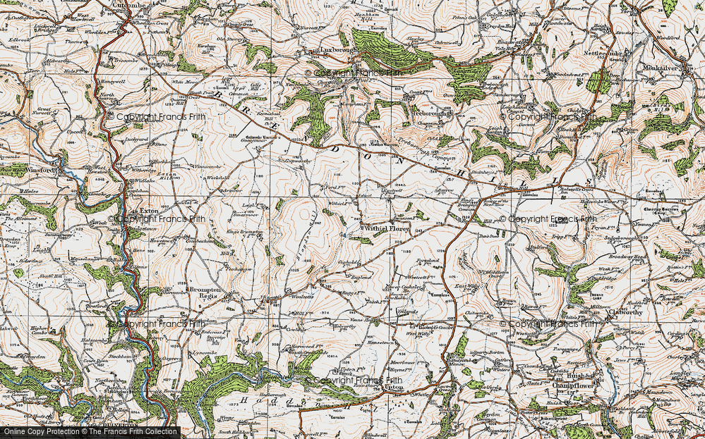Old Map of Withiel Florey, 1919 in 1919